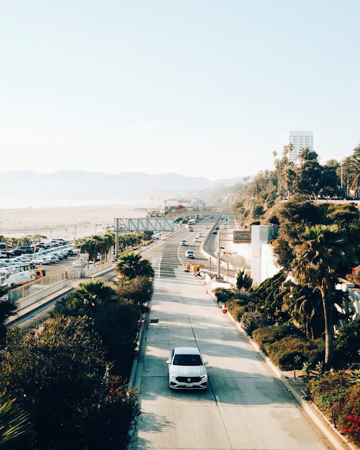 A beautiful view of the coastal highway in Santa Monica with cars and palm trees lining the road.