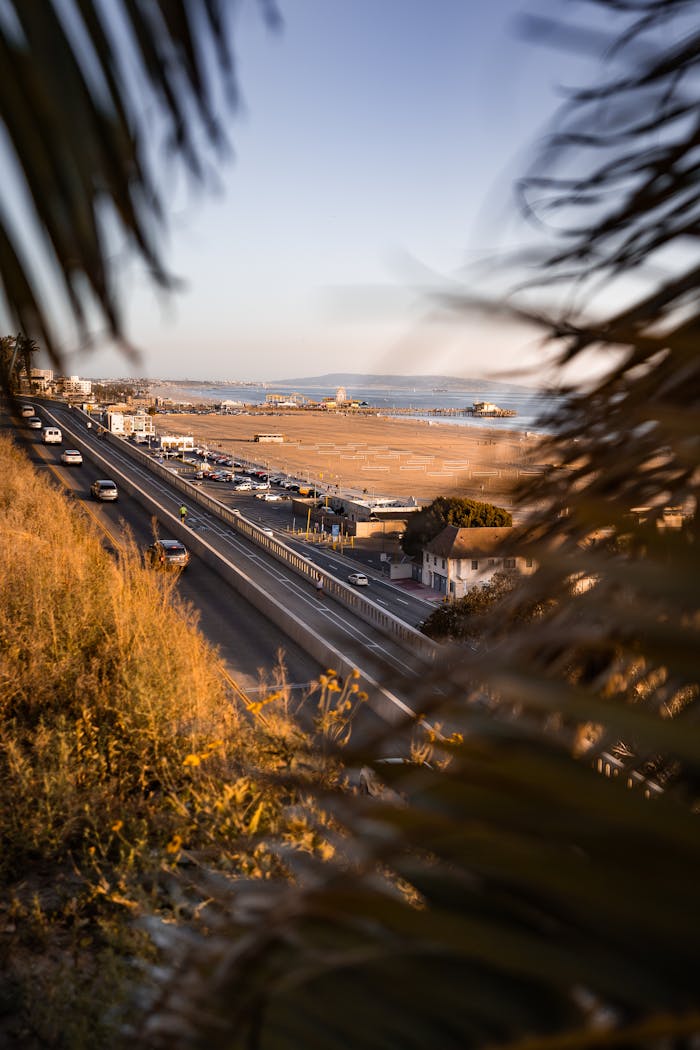 View of Santa Monica's coastline featuring the beach, highway, and ocean with palm silhouettes at sunset.
